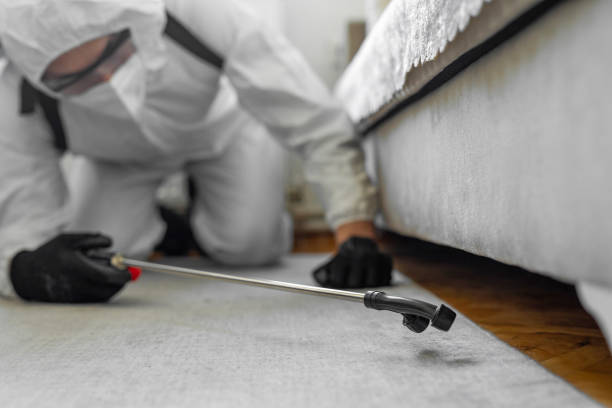 Professional Pest Control technician working in Powell, WY