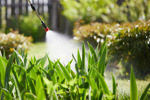 24/7 Emergency Pest Control experts in Powell, WY