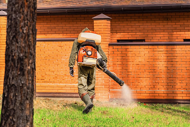 Top rated local Pest Control specialists in Powell, WY